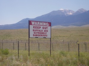We passed a buffalo ranch - but we didn't see any of those either!