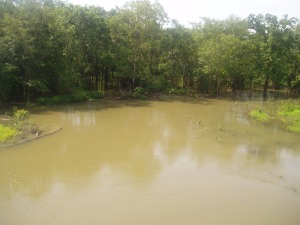 Swamp-like Arkansas River Delta.