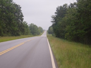 Road and Forest - most of Alabama and Georgia were like this